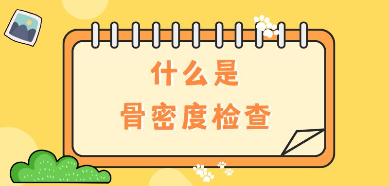 【雙能x線骨密度儀】什么是骨密度檢查？該怎么查？